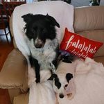 Sandra McCall baucom - @sandra_mccall_baucom - Instagram