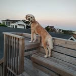 Sandy Baucom - @sandybaucom - Instagram