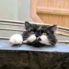 Sandy Baum - @sandy.baum8 - TikTok