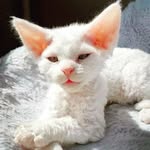 Sandy Baum - @sandra.baum.1234 - Instagram