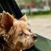 Sandy Baum - Facebook