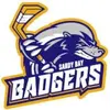 sandy bay badgers - @littlemiss.sb.badgers - TikTok