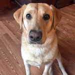 Sandy Bean - @_sandybean - Instagram