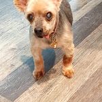 Sandy Beasley - @sandy.beasley1 - Instagram