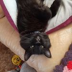 Sandra Beatty - @sandrabeatty37 - Instagram
