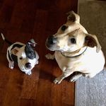 Sandy Beatty - @sandy.beatty.56 - Instagram