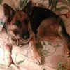 sandybeatty508 - @sandybeatty508 - TikTok