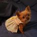 Sandy Beaty - Facebook