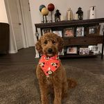 Sandy Beaty - @sandy.beaty.56 - Instagram