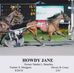 Sandy Beaulieu - Facebook