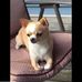 Sandy Beaulieu - Facebook