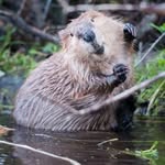 Sandy Beaverston - @sandybeaverston - Instagram