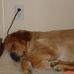 Sandy Beckman - Facebook
