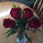 Sandy Beckman - @sbeckman1 - Instagram