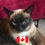 Sandra Beckwith - @beckwith1826 - Instagram