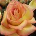 Sandy Beech - Facebook