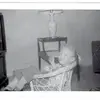 sandybeersstewart - @sandybeersstewart - TikTok