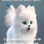Sandy Benavides - @sandry.be - Instagram