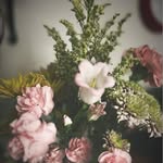 Sandra Fox Benfield - @sbcnayahoocom - Instagram
