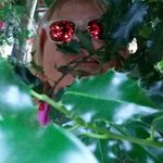 Sandy Benoit - @bistate2012 - Instagram