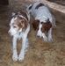 Sandy Berger - Facebook