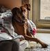 Sandy Bergman - Facebook
