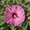 Sandy Bernard - @sandy.bernard5 - TikTok