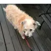 grandma - @sandybesst - TikTok