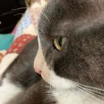 Sandy Bickel - @beautybickel1025 - Instagram