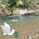 Sandy Biddle Tawhara - @sandybiddletawhara - Instagram