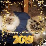 Sandra Binder - @sandra.binder.1848 - Instagram