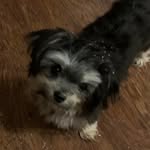 Sandy Binder - @sandybinder1039 - Instagram