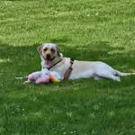 Sandra Bittner - @bittner7462 - Instagram