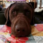 Sandy Bittner - @sandy.bittner - Instagram