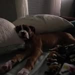Sandy Blank - @blank_sandy - Instagram