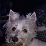 Sandy Blevins - @blevins344 - Instagram