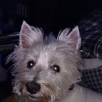 Sandy Blevins - Facebook