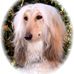 Sandy Blount - Facebook