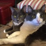 Sandy Blount - @blount4089 - Instagram