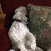 Sandy Blum - Facebook