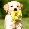 sandy blumenthal - @sandyblumenthal - TikTok