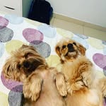 𝕊𝕒𝕟𝕕𝕪 & 𝔹𝕠𝕓𝕓𝕪 - @sandy._.bobby - Instagram