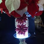 Sandra Bobbitt Kersey - @bobbittkersey - Instagram