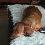 Sandy - @sandybodine55 - Instagram