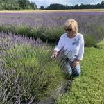 Sandy Bodnar - @bodnar_sandy - Instagram