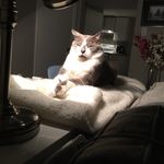 Sandy bodnar - @bodnar.sandy - Instagram