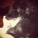 Sandy Bodnaruk - @sandybodnaruk - Instagram
