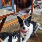 Sandy Boehm - Facebook