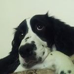 Sandy Bowen - @sandy3740 - Instagram