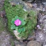 Sandy Bowen - @sboucherbowen - Instagram
